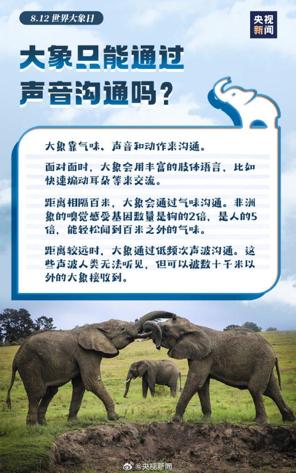今天是世界大象日，了解关于大象的冷知识