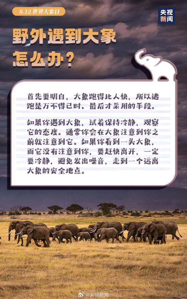 今天是世界大象日，了解关于大象的冷知识