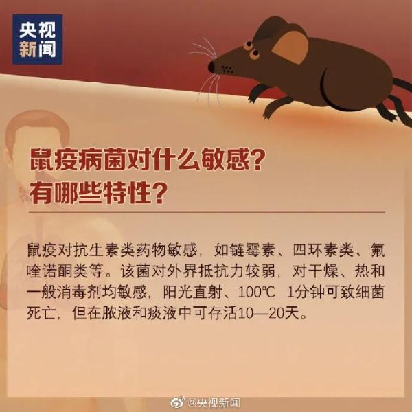 最新消息！此地报告1例鼠疫病例