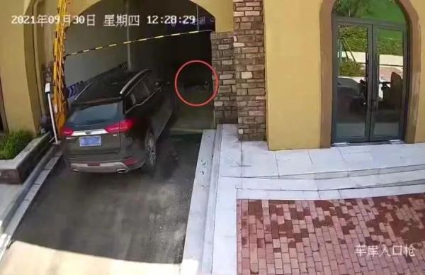 清洁工车库午睡被碾身亡，涉事司机被判无罪后获国家赔偿21万余元