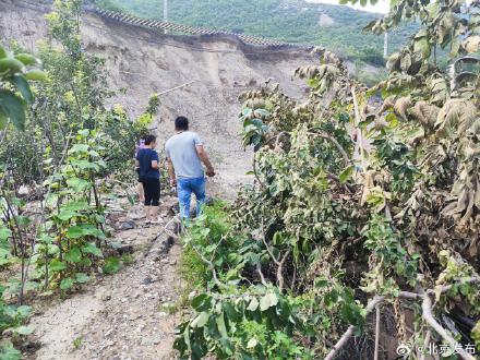 北京政策性农业保险已完成赔付941.3万元