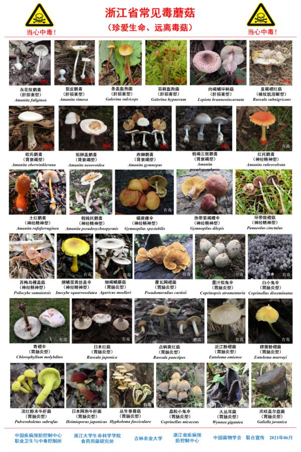 疾控紧急提醒：近期多发，严重可致命！