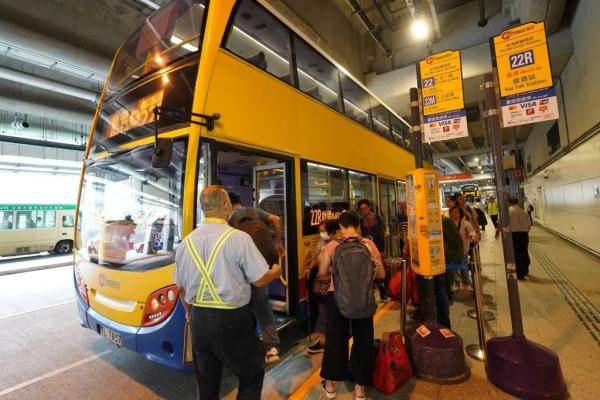 人数飙升！八成来自内地