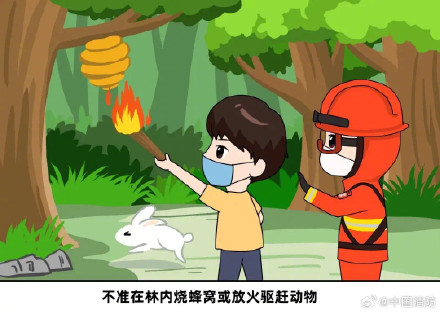 如何预防山火发生 如何预防山火发生