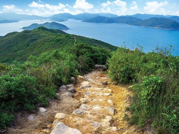 “神雕”真的来了！就在香港清水湾