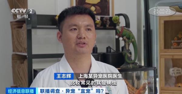 养蜥蜴、蛇、蜘蛛……“异宠”潮流兴起！或触犯法律