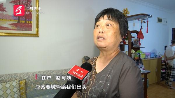 对面开了这个店,贵阳一小区的老人集体睡不着:家里绿得心发慌! 对面开了这个店,贵阳一小区的老人集体睡不着:家里绿得心发慌!