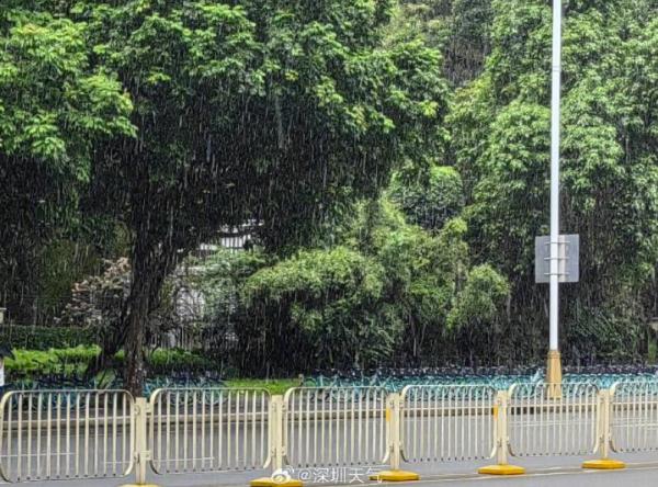 台风“多拉”生成！双台“共舞”，深圳未来一周天气…