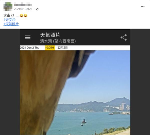“神雕”真的来了！就在香港清水湾