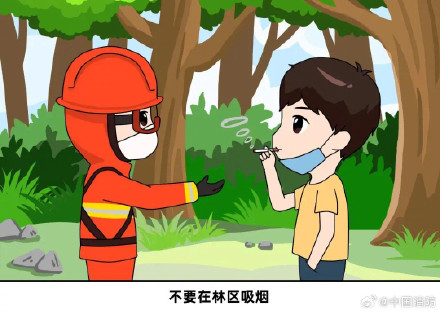 如何预防山火发生 如何预防山火发生