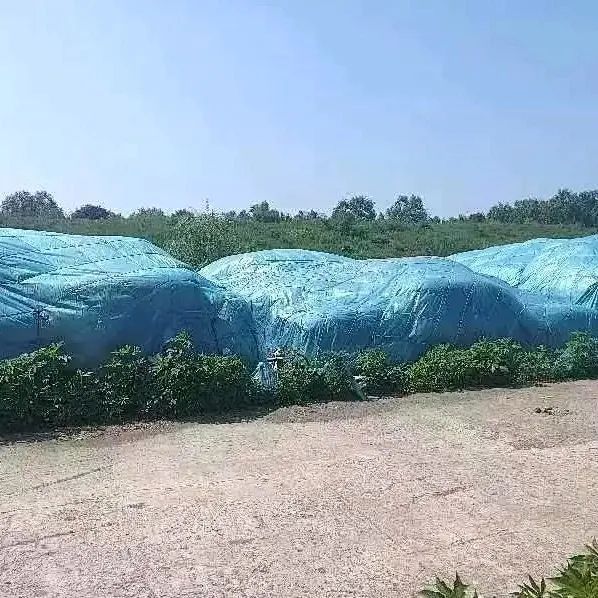 逼停动车,判决赔偿3万多元! 逼停动车,判决赔偿3万多元!