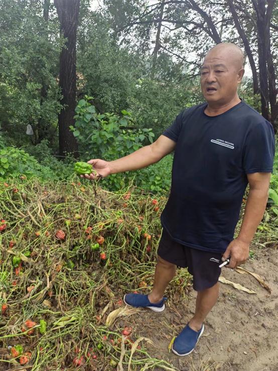 直击 | 紧急转移13天后，北辰这个村子又恢复了烟火气......