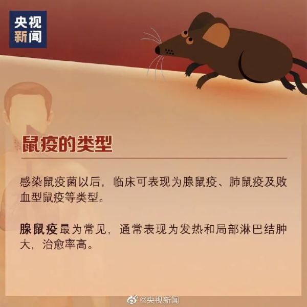 内蒙古通报！1例鼠疫确诊病例！正在救治