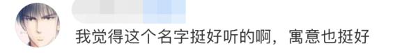 冲上热搜！田园牧橦、费黄腾达…看到这些孩子的名字，网友不淡定了