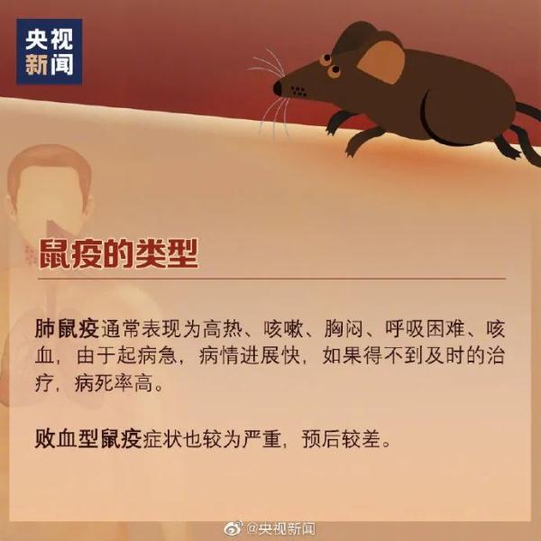 一家三口确诊鼠疫，密接者已被隔离管控，此地再通报→