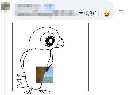 “神雕”真的来了！就在香港清水湾