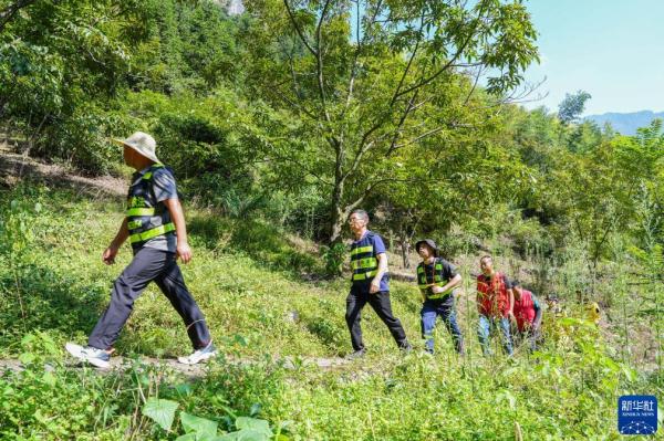 跨省联防联治推动清凉峰生态保护