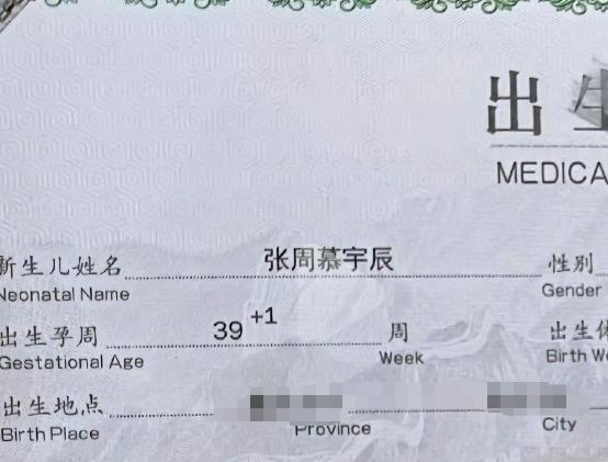 冲上热搜！田园牧橦、费黄腾达…看到这些孩子的名字，网友不淡定了