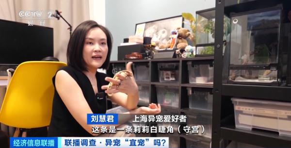 养蜥蜴、蛇、蜘蛛……“异宠”潮流兴起！或触犯法律