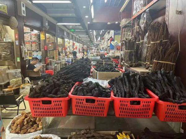 喝一天的中药就要100元！中药被炒出天价，广州情况如何？