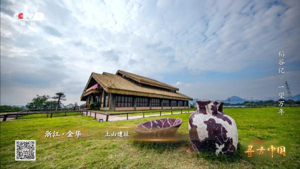 《一望万年》:破解水稻驯化的密码,追寻世界稻源的真相 《一望万年》:破解水稻驯化的密码,追寻世界稻源的真相