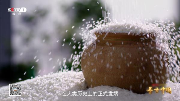 《一望万年》:破解水稻驯化的密码,追寻世界稻源的真相 《一望万年》:破解水稻驯化的密码,追寻世界稻源的真相