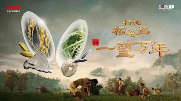 《一望万年》:破解水稻驯化的密码,追寻世界稻源的真相 《一望万年》:破解水稻驯化的密码,追寻世界稻源的真相