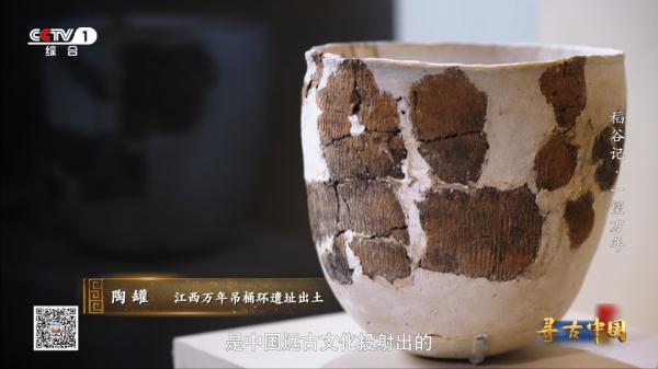 《一望万年》:破解水稻驯化的密码,追寻世界稻源的真相 《一望万年》:破解水稻驯化的密码,追寻世界稻源的真相