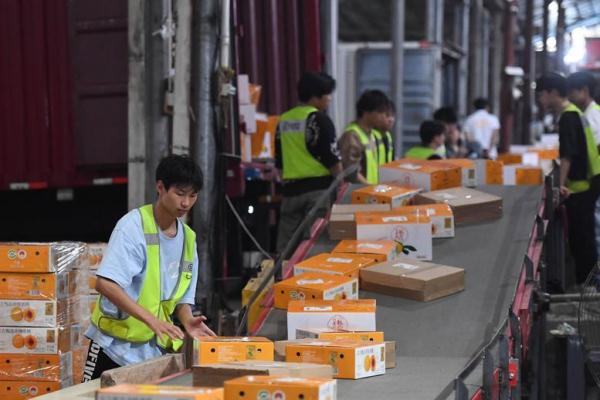 风吹稻花香 三湘好“丰”光 风吹稻花香 三湘好“丰”光