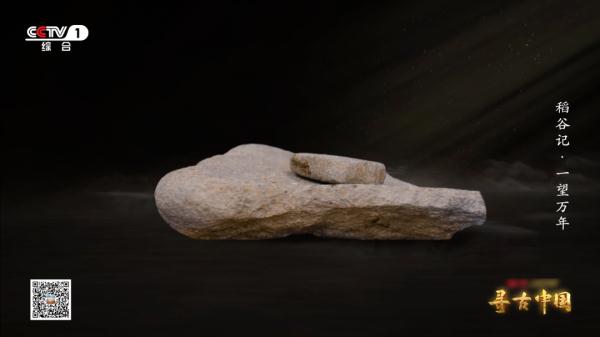《一望万年》:破解水稻驯化的密码,追寻世界稻源的真相 《一望万年》:破解水稻驯化的密码,追寻世界稻源的真相