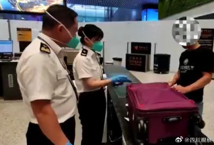 广州海关查获9591尾海马干 广州海关查获9591尾海马干