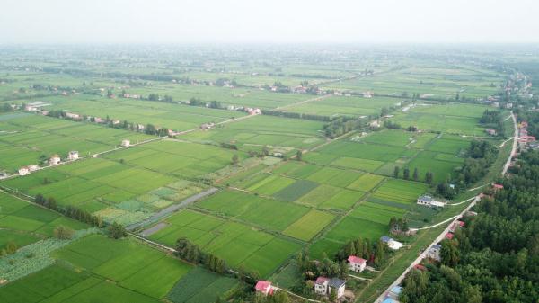 风吹稻花香 三湘好“丰”光 风吹稻花香 三湘好“丰”光