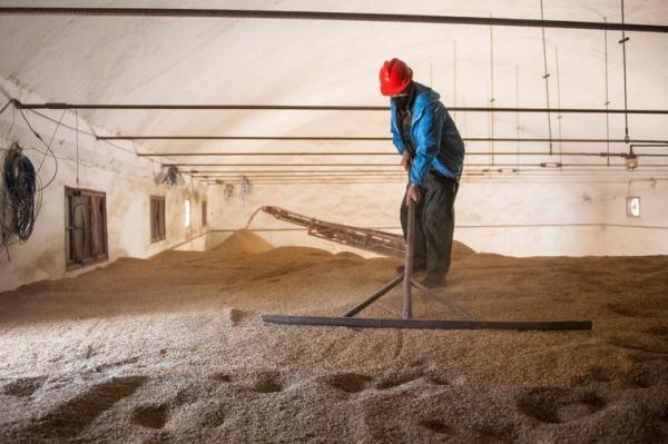 风吹稻花香 三湘好“丰”光 风吹稻花香 三湘好“丰”光
