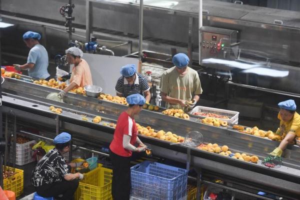 风吹稻花香 三湘好“丰”光 风吹稻花香 三湘好“丰”光