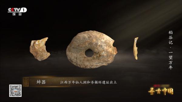 《一望万年》:破解水稻驯化的密码,追寻世界稻源的真相 《一望万年》:破解水稻驯化的密码,追寻世界稻源的真相