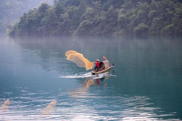 风吹稻花香 三湘好“丰”光 风吹稻花香 三湘好“丰”光