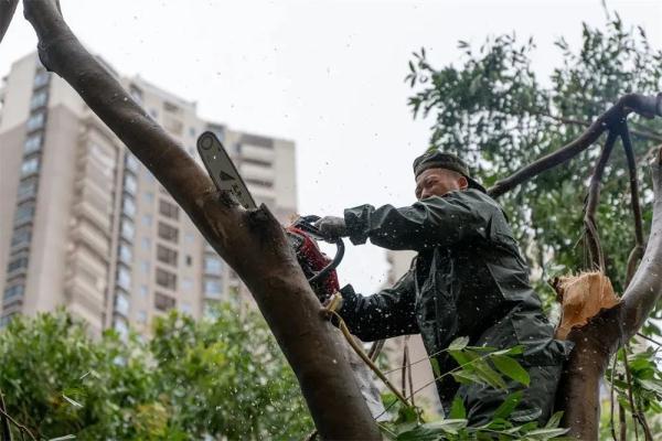 才下考场又上“战场”！他们在防汛救灾一线收到录取喜讯