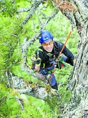 揭秘！厦大体育老师给“亚洲最高树”量身高