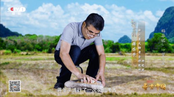 《一望万年》:破解水稻驯化的密码,追寻世界稻源的真相 《一望万年》:破解水稻驯化的密码,追寻世界稻源的真相