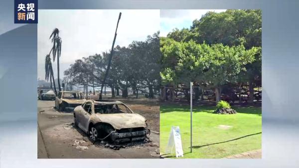 度假胜地变坟场，已有93人被烧死