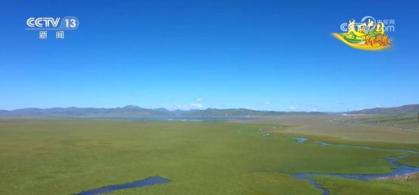 草色青青“本土芯” 生态环境改善让“草原明珠”更璀璨 草色青青“本土芯” 生态环境改善让“草原明珠”更璀璨