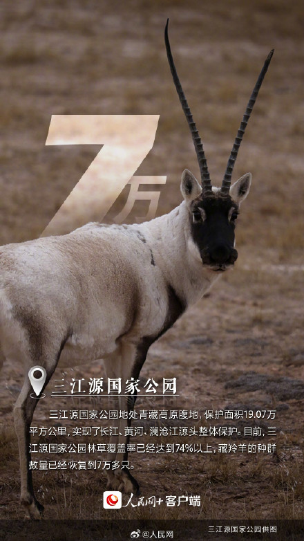 这里是中国的国家公园