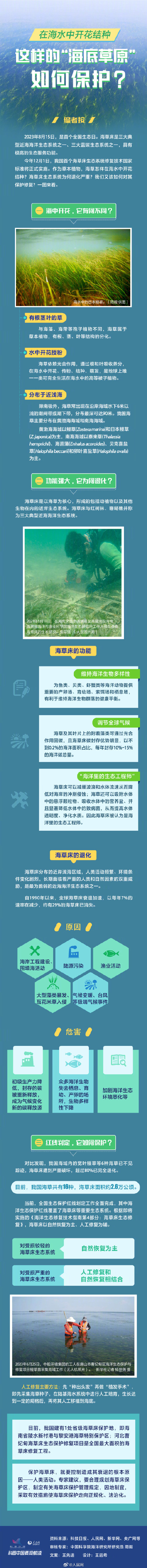 浪花里舞蹈！这种草能在海水中开花