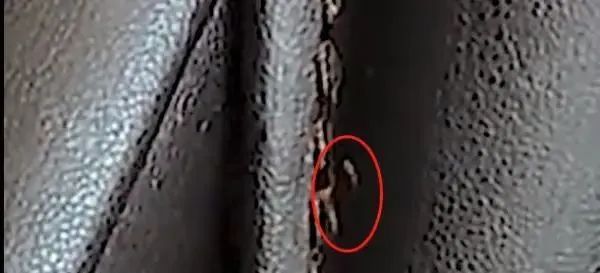 “鸠占鹊巢”、“吃”头发、虫子爬……共享按摩椅怎么就成了“过街老鼠”？