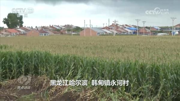 焦点访谈：风雨同舟 汇聚力量