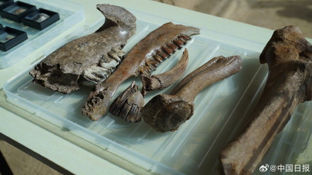 旧石器时代的生活是什么样？