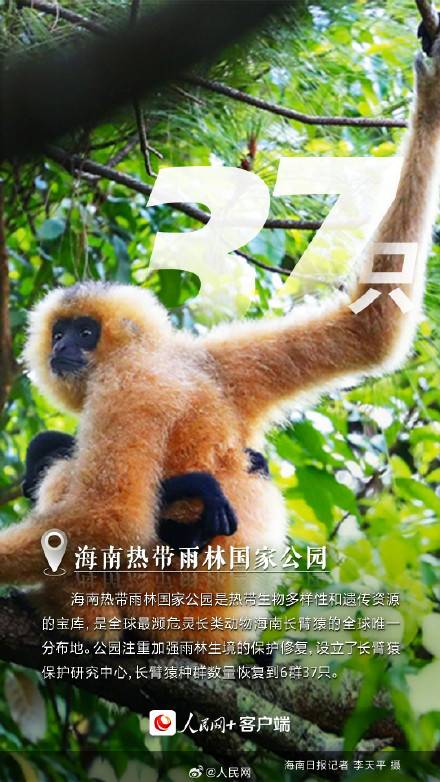 这里是中国的国家公园