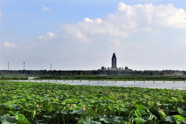 江水浩荡润齐鲁：南水北调东线工程综合效益显著