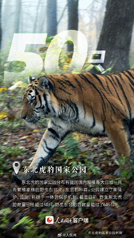 这里是中国的国家公园