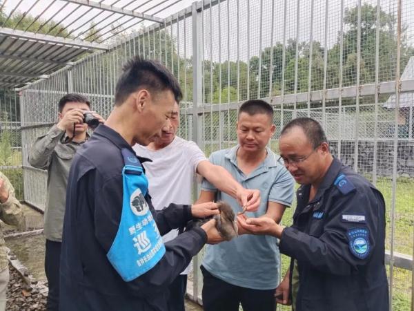 首次！成功孵化！